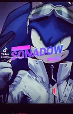 Соник и Шедоу любовь