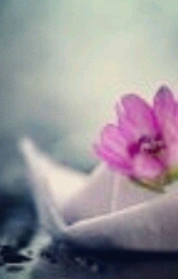 Ныряю.                          Светлана Муравьева