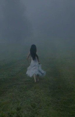 Наследие шторма