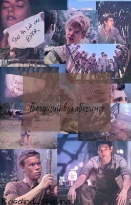 бегущий в лабиринте