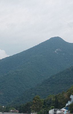 Истории без названия