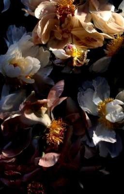 Потерянные письма