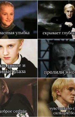 Т/И Снейп и Драко Малфой "Жалкое отродье Поттеров" ( книга 1)