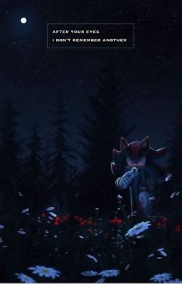 AFTER YOUR EYES I DON'T REMEMBER ANOTHER||ШЭДОУ