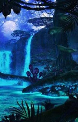 Сёстры На'ви 