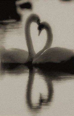 Созвездие любви.Дети леса