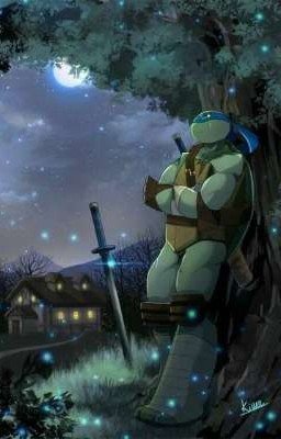 Черепашки ниндзя и девушка с клана Огонян