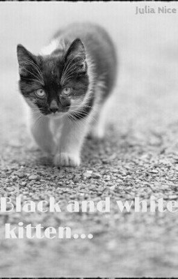 В память о чёрно-белом котёнке ...