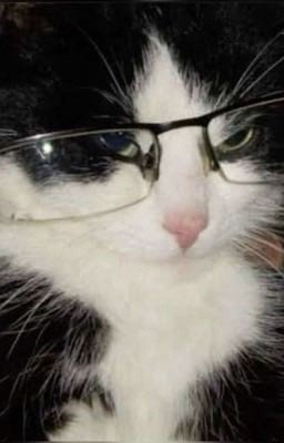 ⚡️участница в еблан скваде⚡️