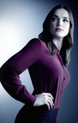 Изобретение Фитца