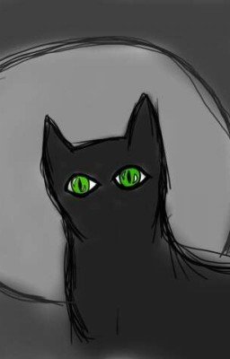 Кот-Ночь. 