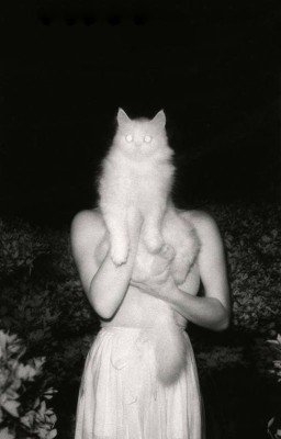 аркан насилия