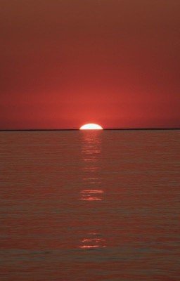 Наше лето, Или 1461 день. Слишком сильные чувства.