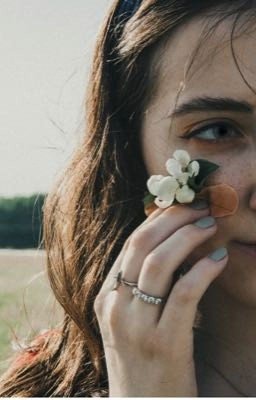 Под летним солнцем