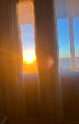 Сбежавшие на остров/с острова?