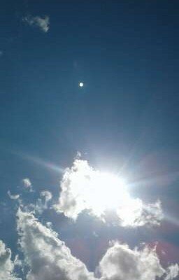 🌟АМНЕЗИЯ🌟