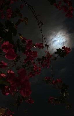 Тень кардинальского прошлого 