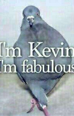 Два Кевина в небесах или полет любви