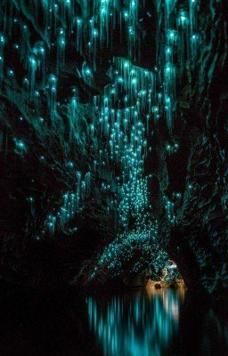 "ОСОЗНАННОЕ СНОВИДЕНИЕ...ЗА 7 ДНЕЙ!" Томас Бредли