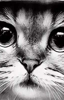 А я его даже не замечал...