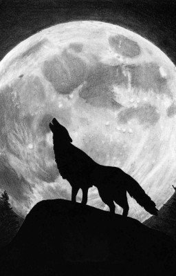 Любовь оборотня