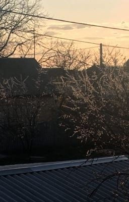 Люблю весну