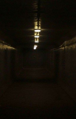 Без названия