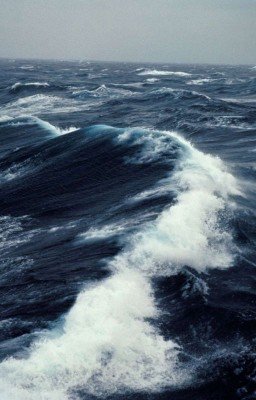 Существо внутри 