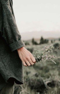 Последний друг 