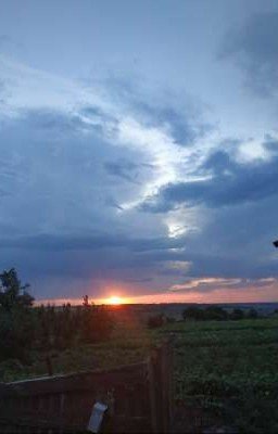 любовь- в лагере