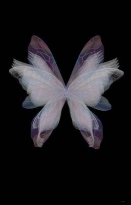 Мой самый лучший враг 