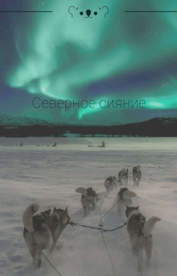Северное сияние