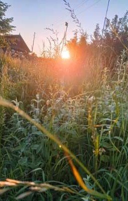 Негласная королева