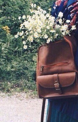 Размышления о смысле жизни