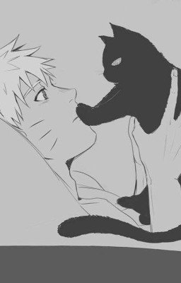 подобрал на свою голову