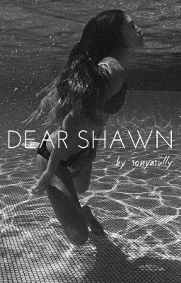 DEAR SHAWN Shawn Mendes [Russian Translation]