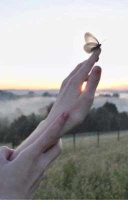 Яркое мерцание 