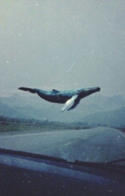 иллюзия любви