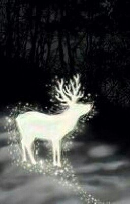 Любовь Супер-звезды