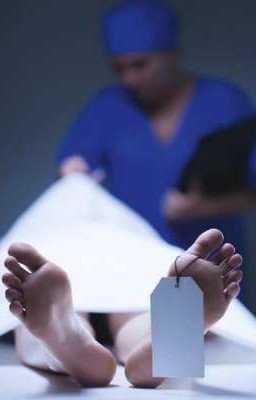 Дневник Кейт