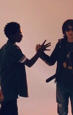 Мой кудрявый друг?