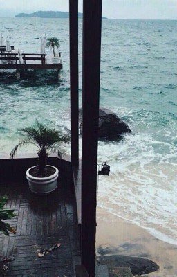 Влюблённые в море.