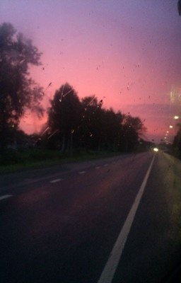 Сыч, хикикомори или зовите как хотите.