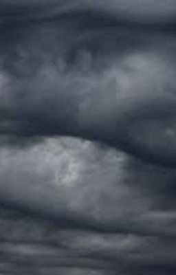 Досуг в пасмурный день 