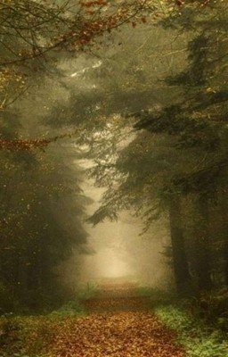 Четыре Строки 