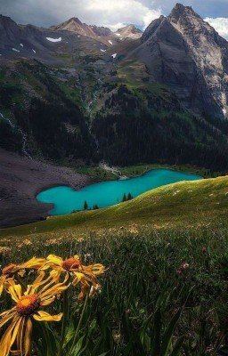 Неудачный поход