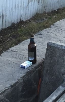 дневник 