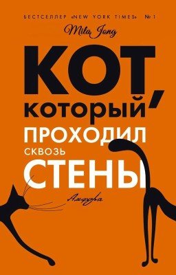 Кот, который походил сквозь стены