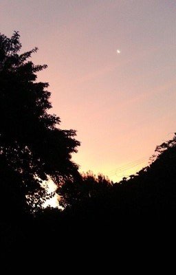 Я Завещаю Тебе Мир