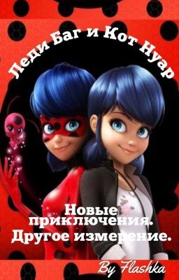 Леди Баг и Кот Нуар. Новые приключения. Другое измерение.